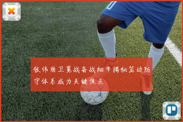 张伟丽卫冕战备战细节揭秘笼边防守体系成为关键焦点