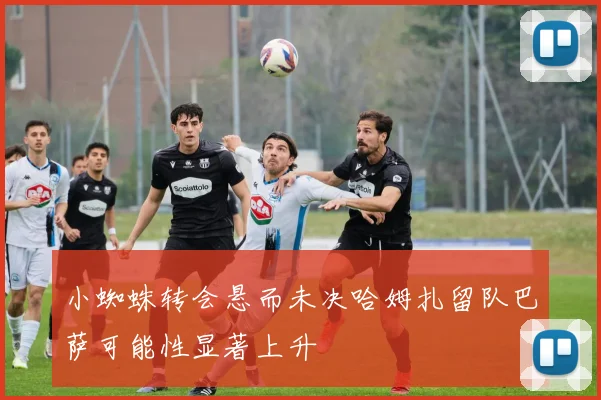 小蜘蛛转会悬而未决哈姆扎留队巴萨可能性显著上升