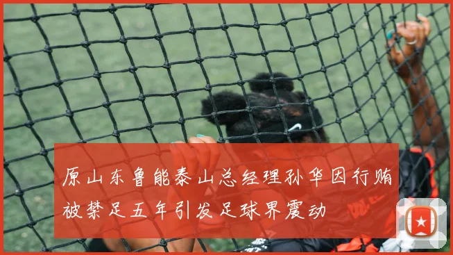 原山东鲁能泰山总经理孙华因行贿被禁足五年引发足球界震动