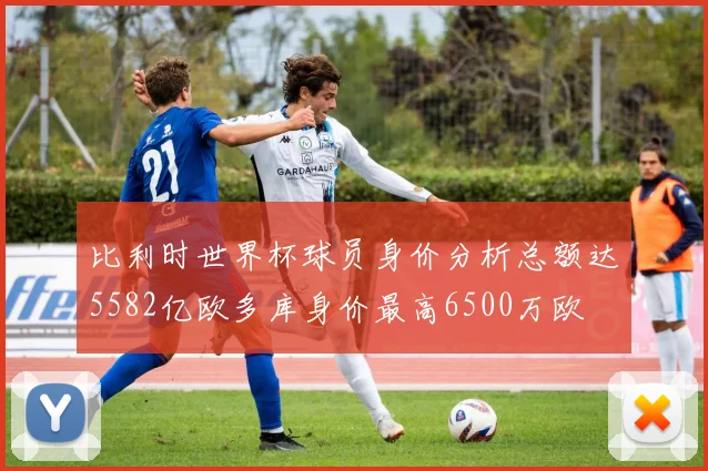 比利时世界杯球员身价分析总额达5582亿欧多库身价最高6500万欧