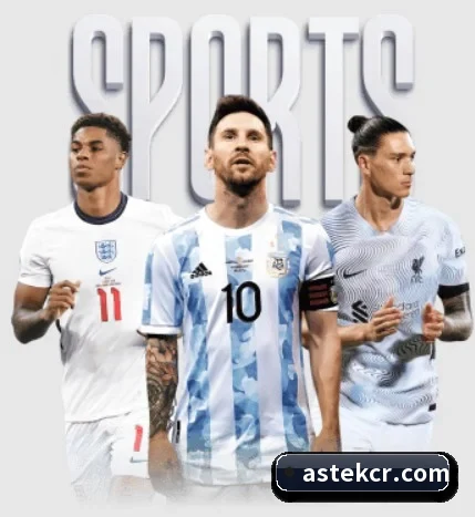 每个板块围绕一个运动项目展开（AOASPORTS）